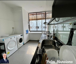 Palm Mansions (D5), Apartment #494368591